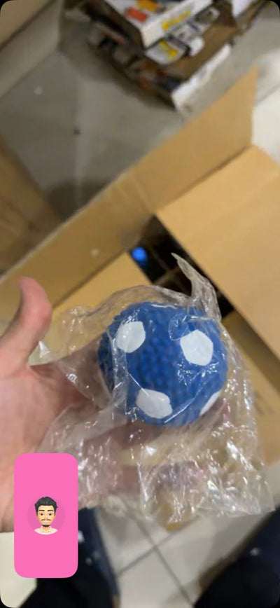 Pet Chew Toy Balls - Assorted Sports